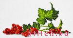 Набор для вышивания Овен 791