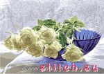 Набор для вышивания Goblenset 1008