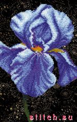 Набор для вышивания Чаривна мить БЮ-507