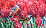 Набор для вышивания Butterfly 526