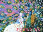 Набор для вышивания Butterfly 525