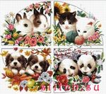 Набор для вышивания Dome 110817