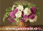 Набор для вышивания Goblenset 1024