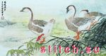 Набор для вышивания Xiu Crafts 2800103 (2030803)