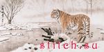 Набор для вышивания Xiu Crafts 2801504 (2032104)