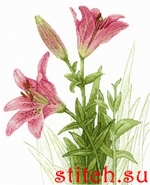 Набор для вышивания МП Студия НВ-632