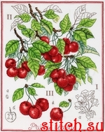 Набор для вышивания Alisena 1274