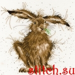 Набор для вышивания Bothy Threads XHD49