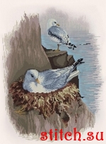 Набор для вышивания Nova Sloboda СР2284