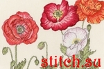 Набор для вышивания Bothy Threads XBD15