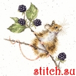 Набор для вышивания Bothy Threads XHD91