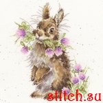 Набор для вышивания Bothy Threads XHD139