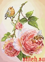 Набор для вышивания Luca-S B7053