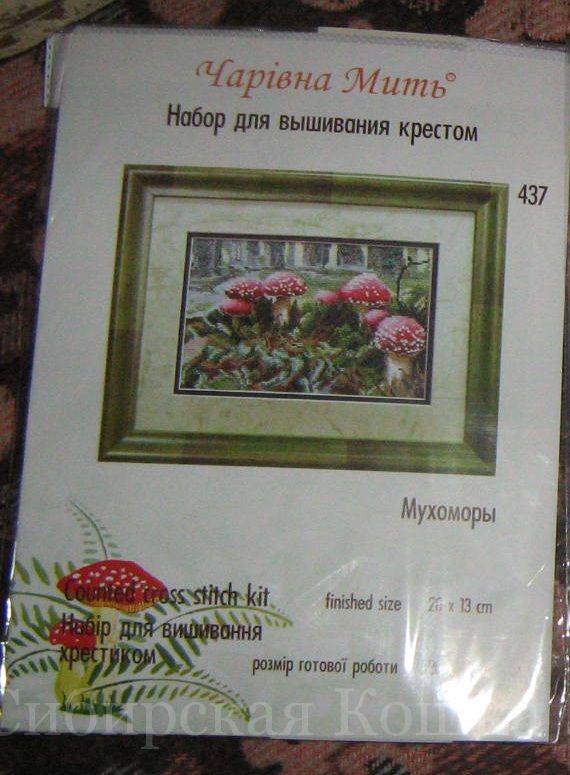 12795_102.jpg